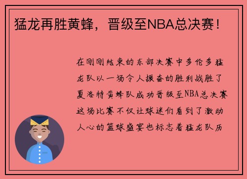猛龙再胜黄蜂，晋级至NBA总决赛！
